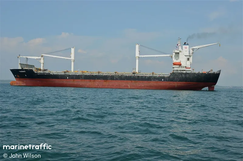MSC SKY II, Container ship, IMO 9162277 | Vessel details | BalticShipping.com