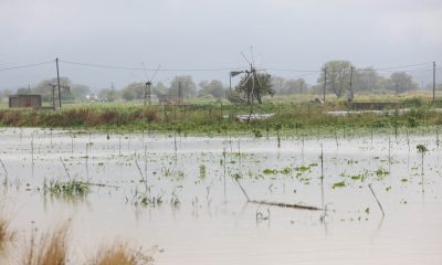 Οροπέδιο Λασιθίου, κακοκαιρία Κρήτη, πλημμύρες Λασίθι, ζημιές καλλιέργειες, αγρότες Λασιθίου, πατάτες Οροπέδιο, πλημμυρισμένος κάμπος, αποζημιώσεις αγροτών, αντιπλημμυρικά έργα, υποδομές Κρήτη, ακραία καιρικά φαινόμενα
